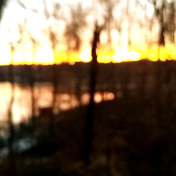 Meet your Posher, Rebecca - Picture 1 of 1